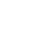 customLogo