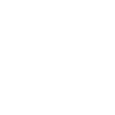 customLogo